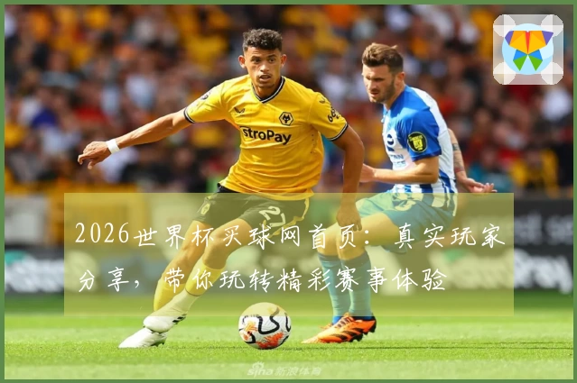 2026世界杯买球网首页：真实玩家分享，带你玩转精彩赛事体验