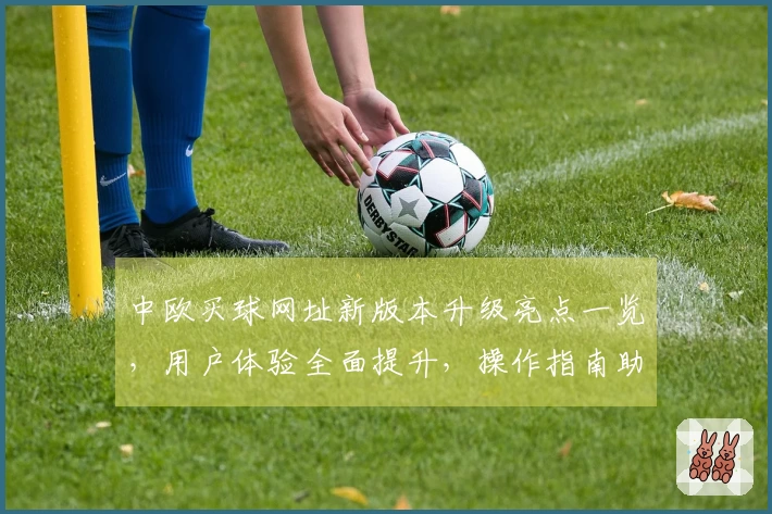 中欧买球网址新版本升级亮点一览，用户体验全面提升，操作指南助你轻松上手