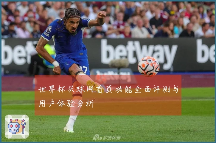 世界杯买球网首页功能全面评测与用户体验分析