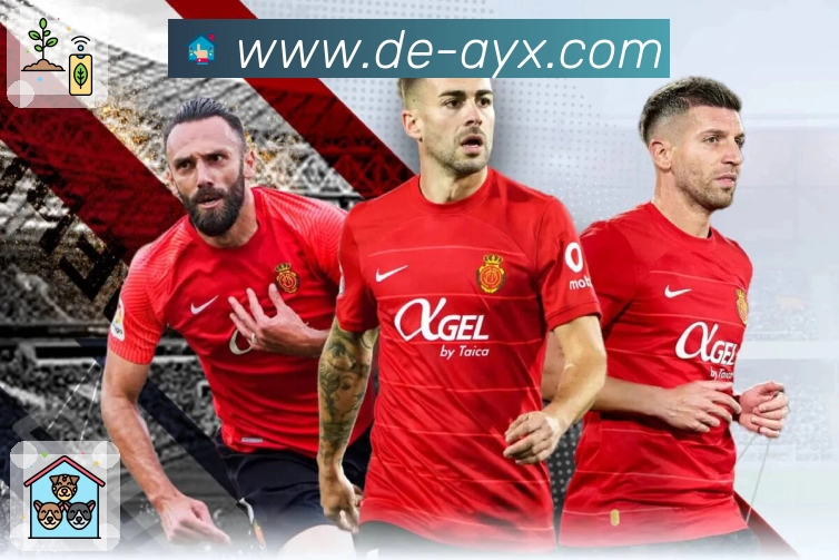 爱游戏画质体验与播放链路优化